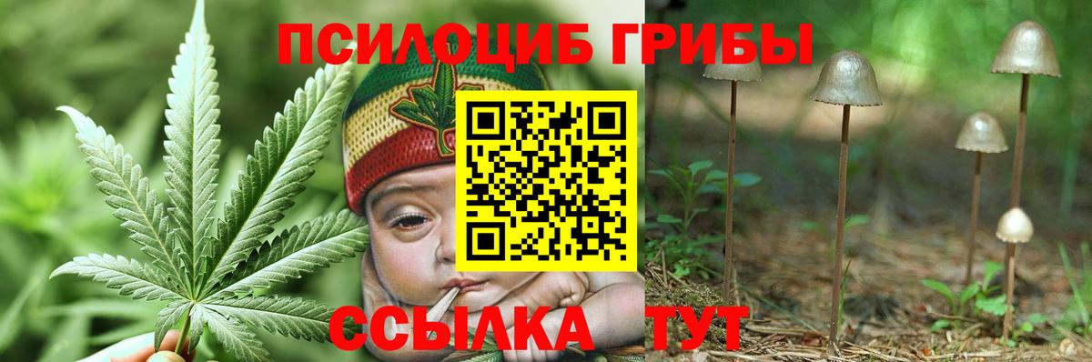Темрюк  где найти наркотики  Галлюциногенные грибы мухоморы  Вход с VPN  Псилоцибиновые грибы MAGIC MUSHROOMS 